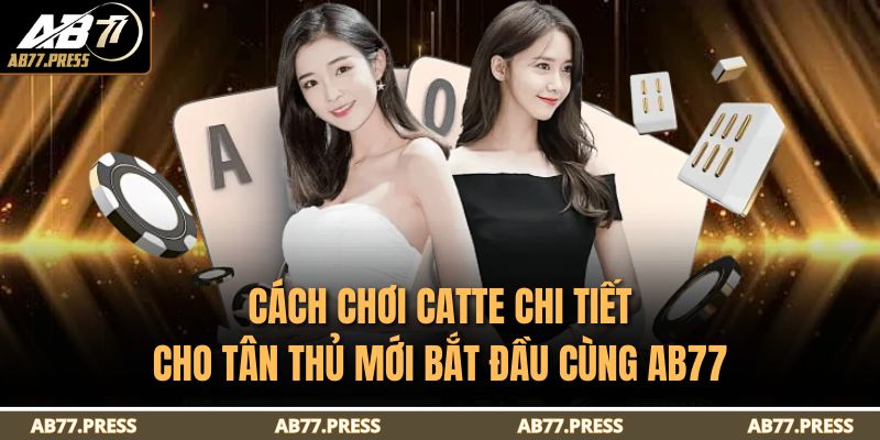 Cách Chơi Catte Chi Tiết Cho Tân Thủ Mới Bắt Đầu Cùng AB77 5 cách chơi catte